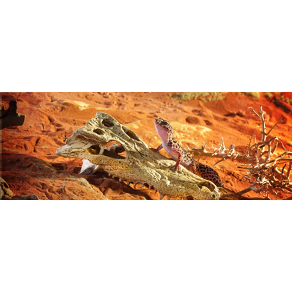 ExoTerra Crocodile Skull