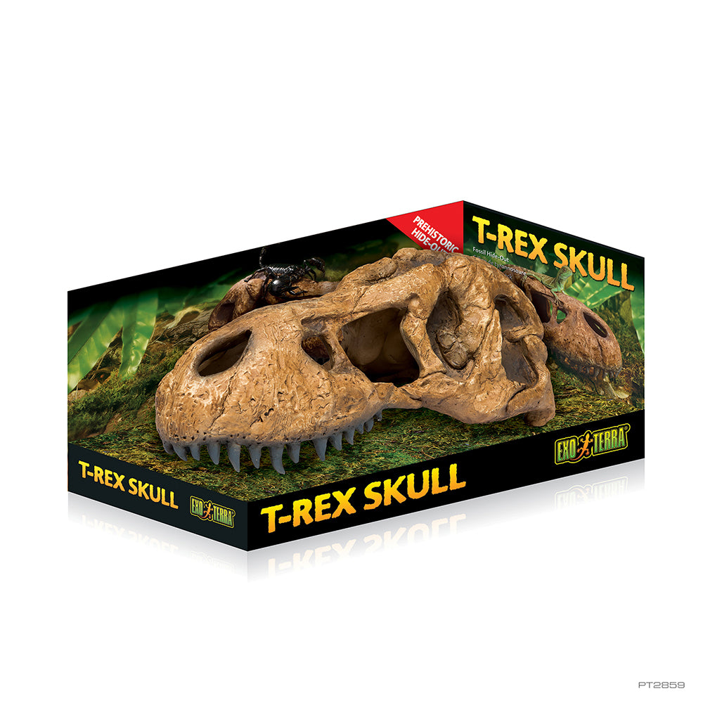 ExoTerra T-Rex Skull