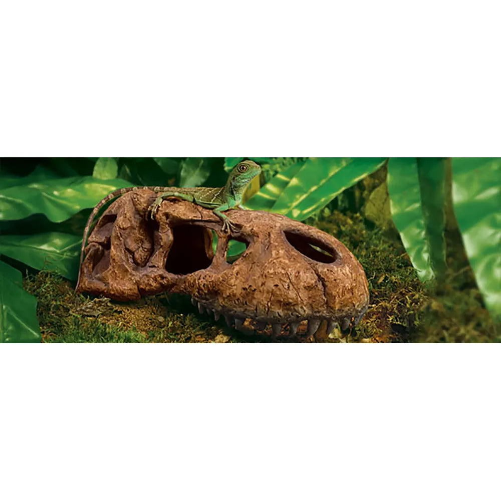 ExoTerra T-Rex Skull