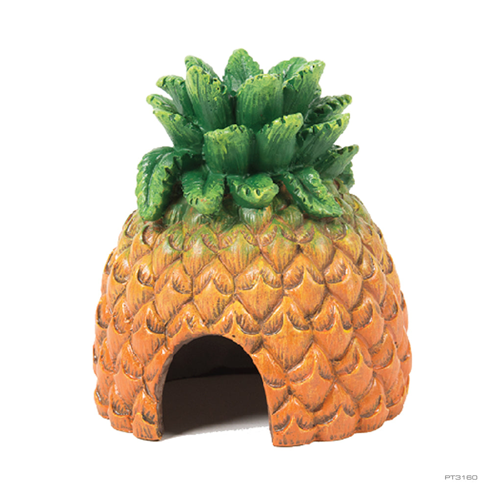 ExoTerra Pineapple Hide