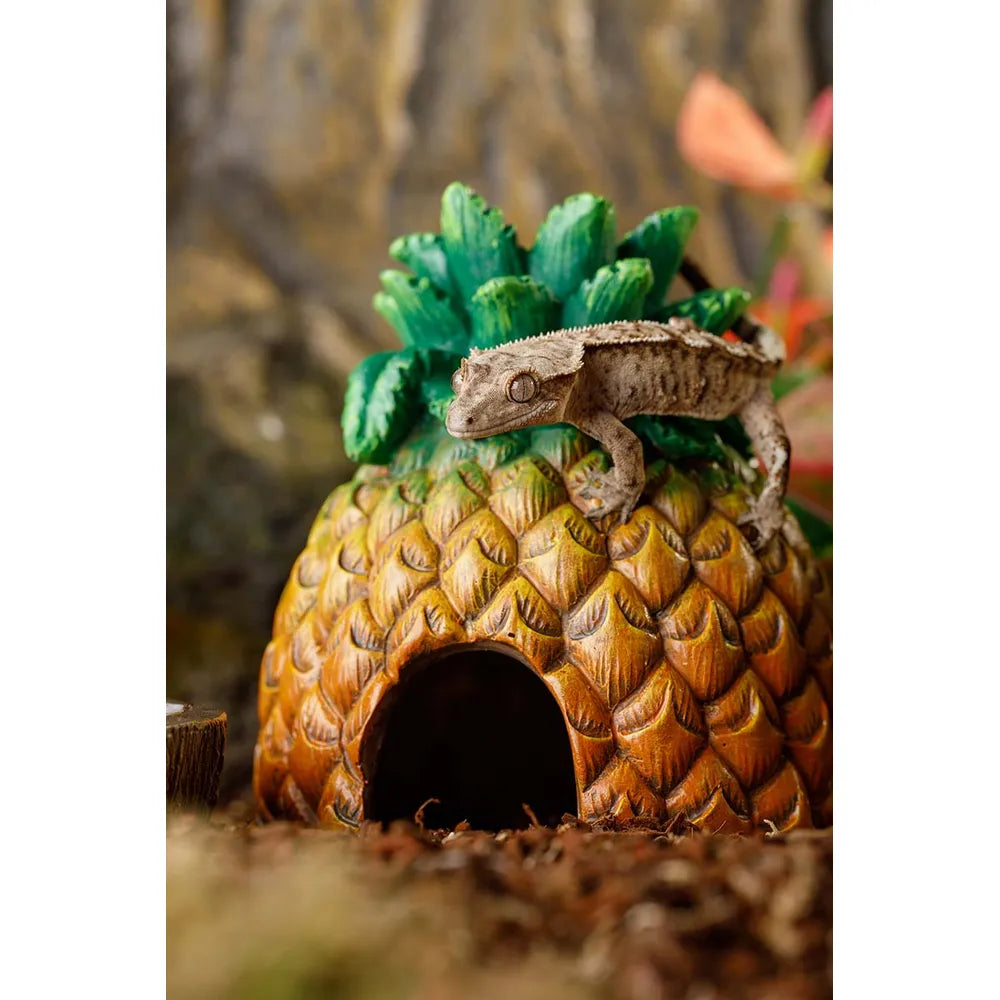 ExoTerra Pineapple Hide