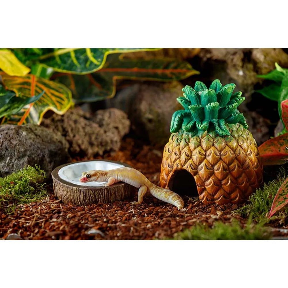 ExoTerra Pineapple Hide