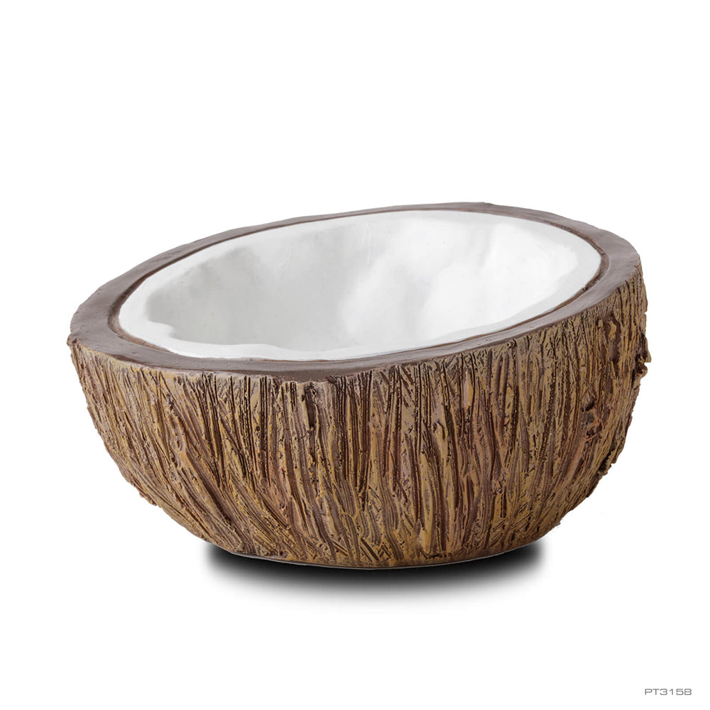 ExoTerra Coconut