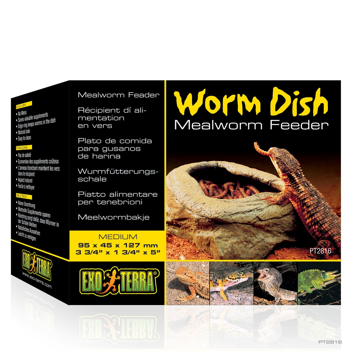 ExoTerra Worm Dish