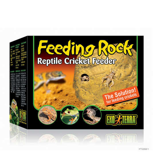 ExoTerra Feeding Rock