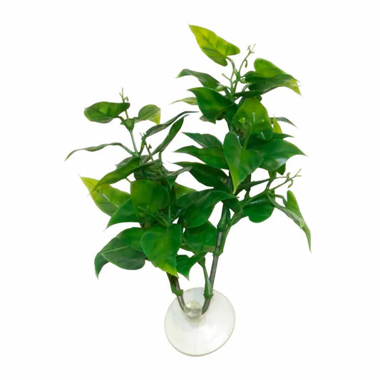 Zoo Med Betta Philo Plastväxt med Sugkopp ca.15cm – Nano & Betta-akvarium