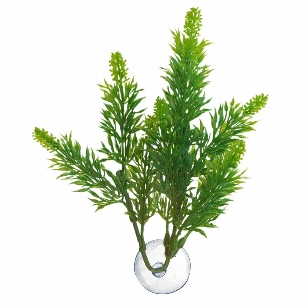 Zoo Med Betta Plastväxt Salvia med sugkopp ca.15cm – För Betta-skålar och nanoakvarier