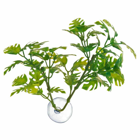 Zoo Med Betta Plant Window Leaf ca.13cm – Sugkoppsväxt för Betta & nanoakarium