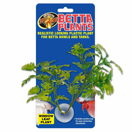 Zoo Med Betta Plant Window Leaf ca.13cm – Sugkoppsväxt för Betta & nanoakarium