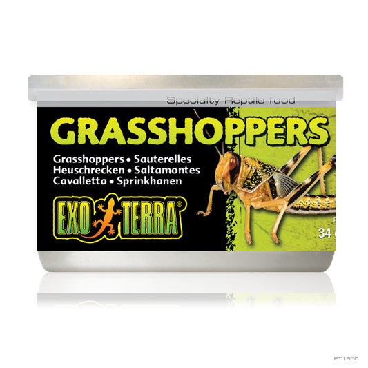 ExoTerra Grasshoppers 34g