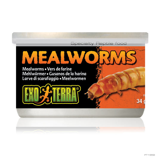 ExoTerra Mealworms 34g