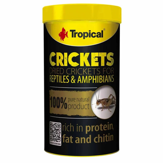 Tropical Crickets 100ml/10g