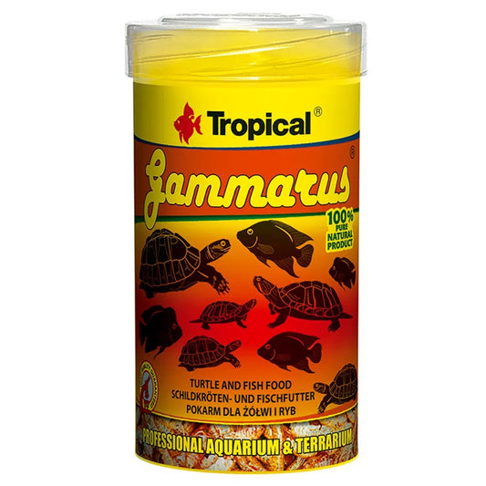 Tropical Gammarus Frystorkade Räkor