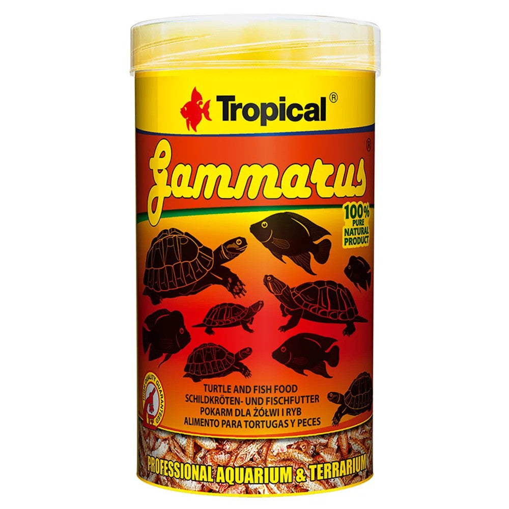 Tropical Gammarus Frystorkade Räkor