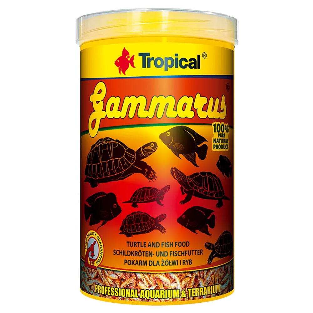 Tropical Gammarus Frystorkade Räkor