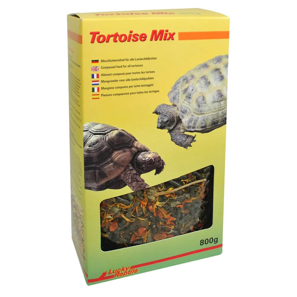 LuckyReptile Tortoise Mix