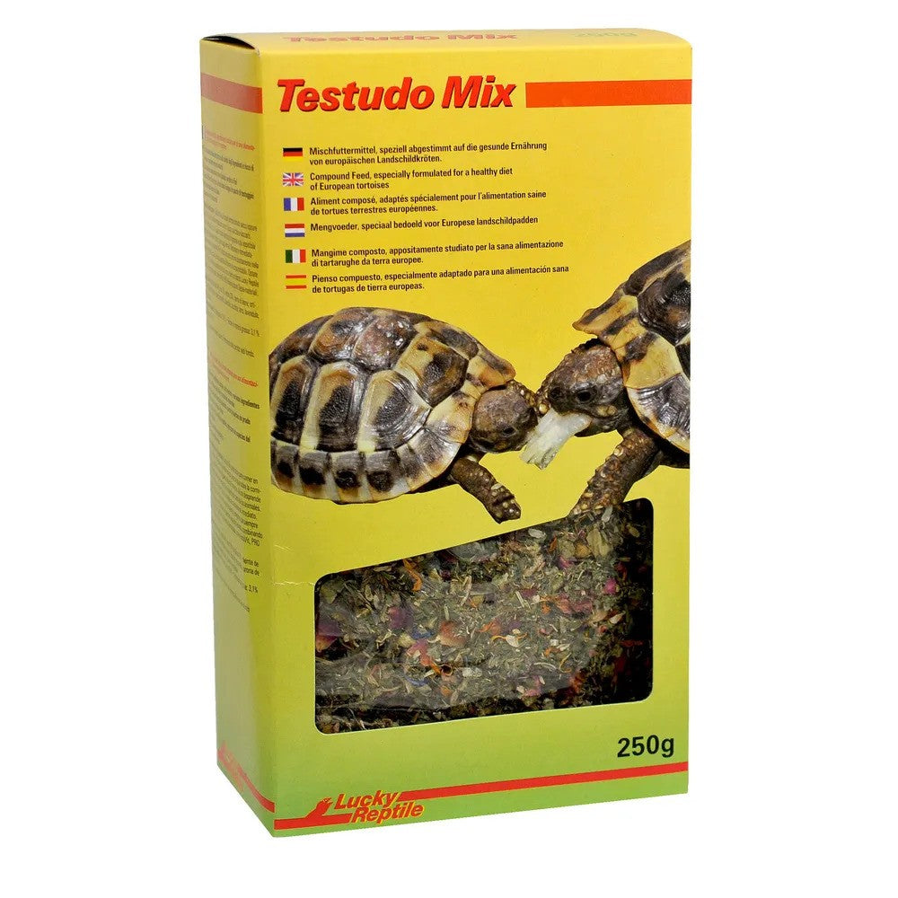 LuckyReptile Testudo Mix