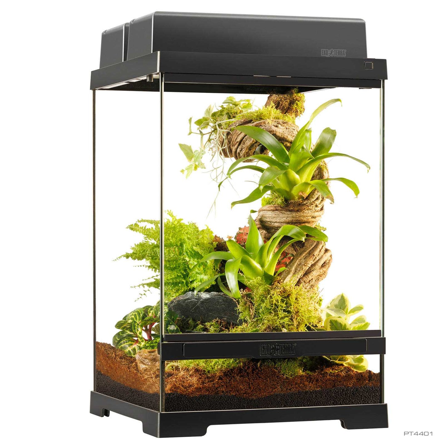 Exo Terra Pro Terrarium X-Small Tall – Glasterrarium 30×30×45cm
