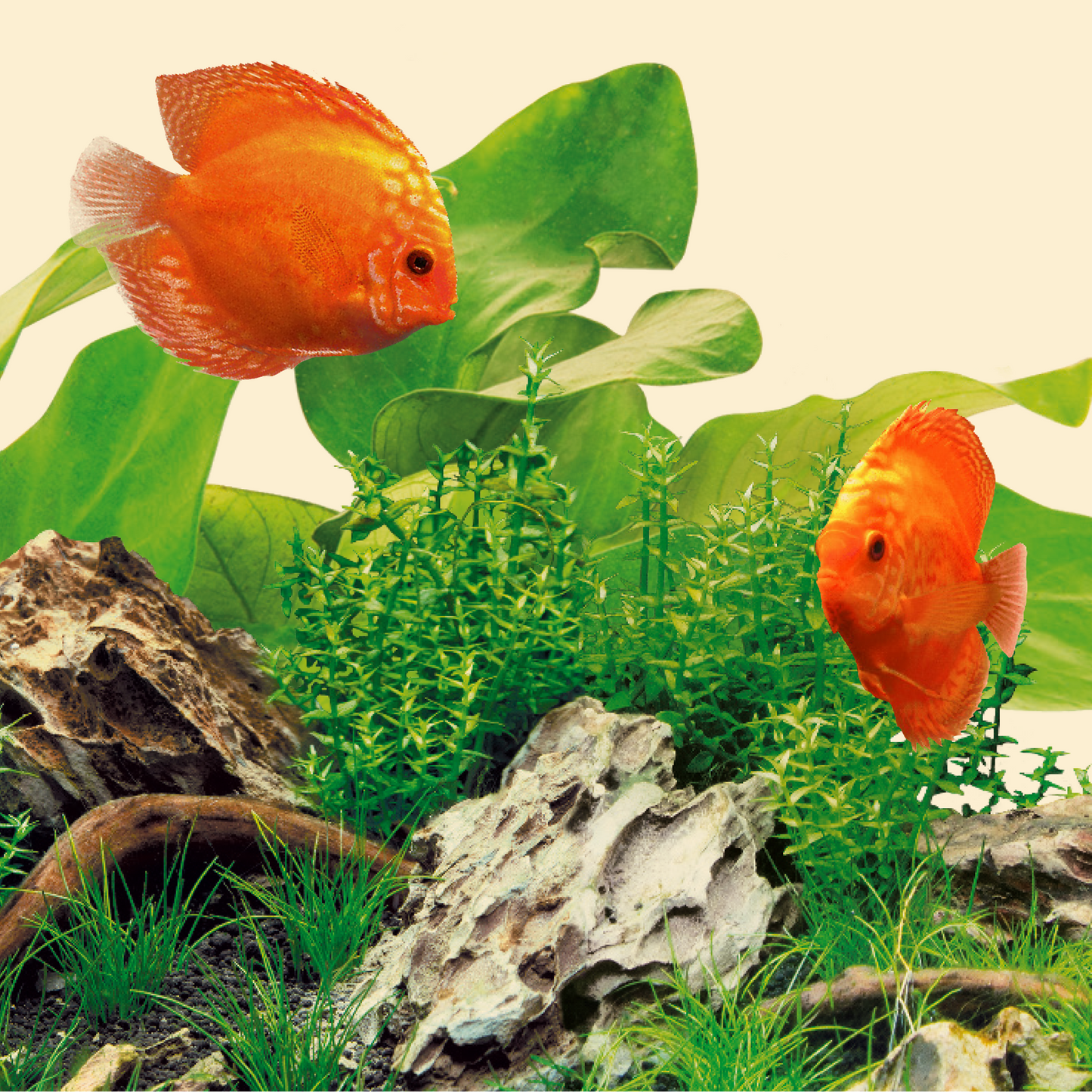 Juwel LED Nature Light – Naturligt dagsljus för akvariet